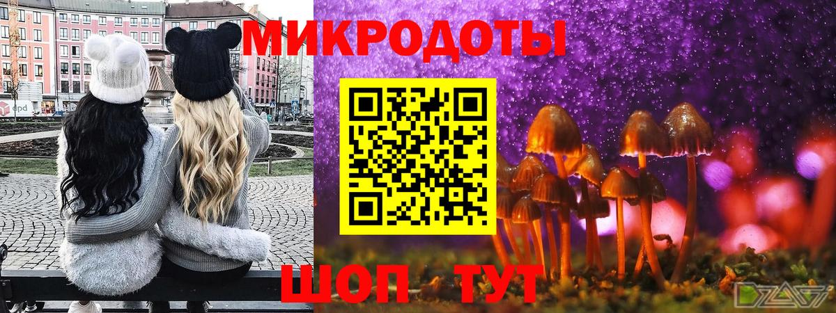 Галлюциногенные грибы Magic Shrooms Лыткарино