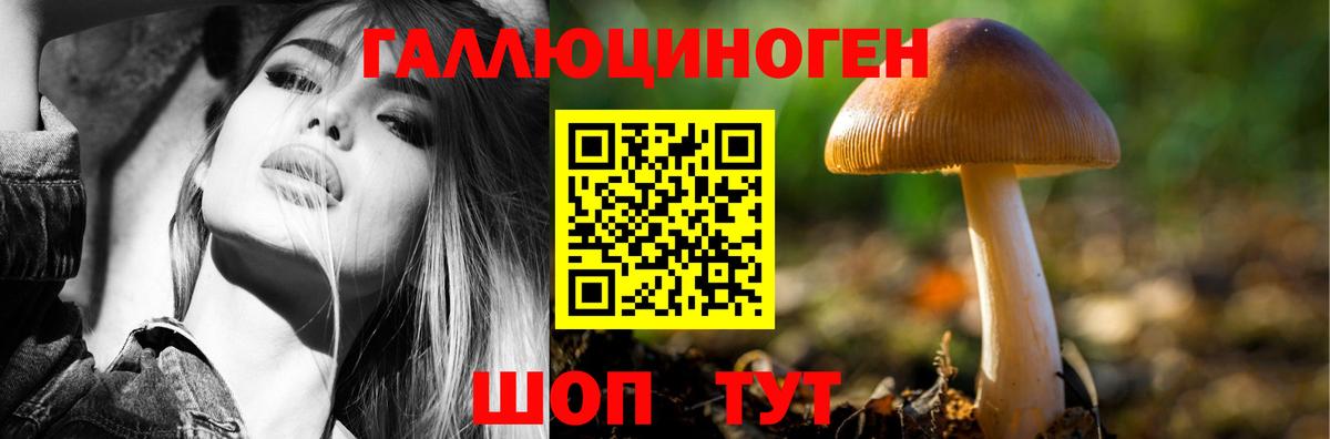 где найти наркотики  Галлюциногенные грибы Magic Shrooms  Вход с VPN  Лыткарино 